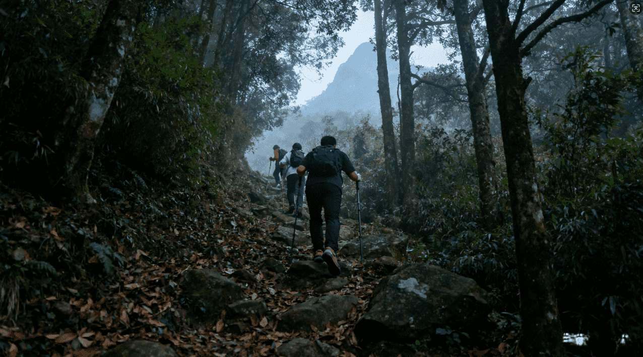 蚂蚁破解版加速器兮稳定提升游戏体验